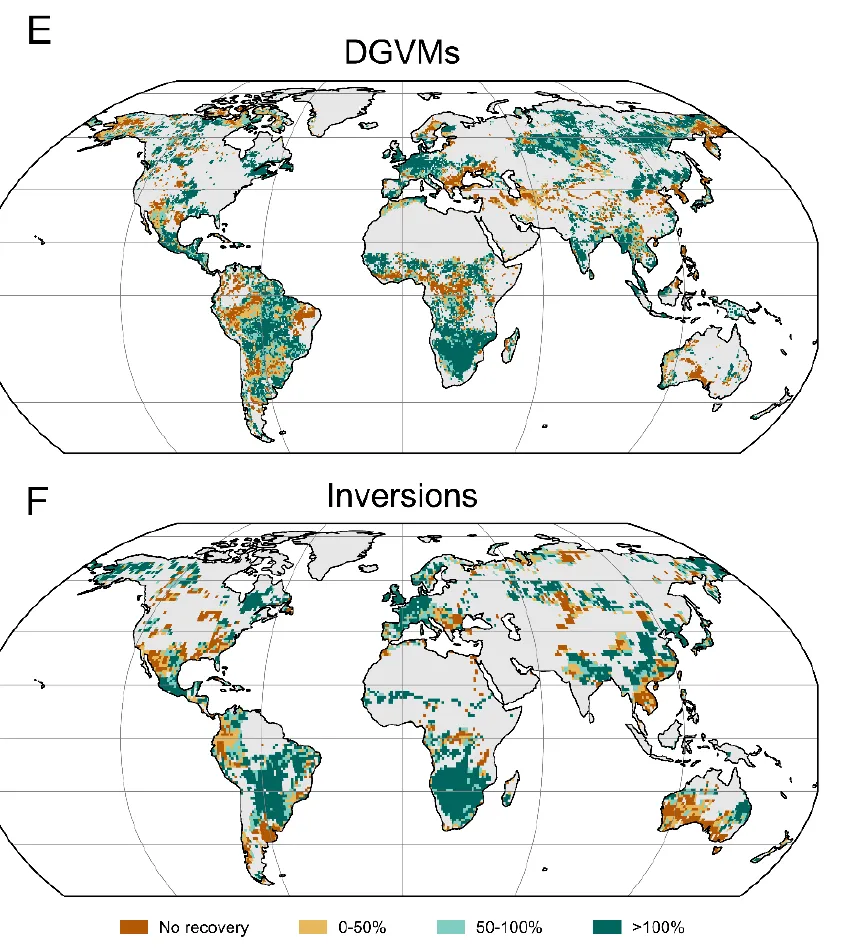 Two world maps showing where land carbon uptake recovered in 2025, many areas dark green in Africa and the tropics.