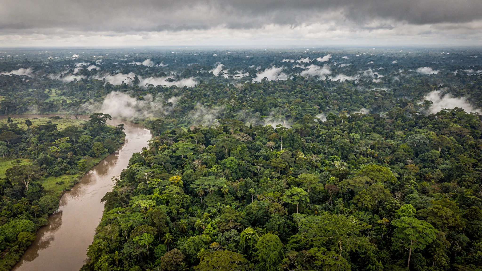 Aerial view of a green tropical forest after rain, mist rising between the trees under an overcast sky.