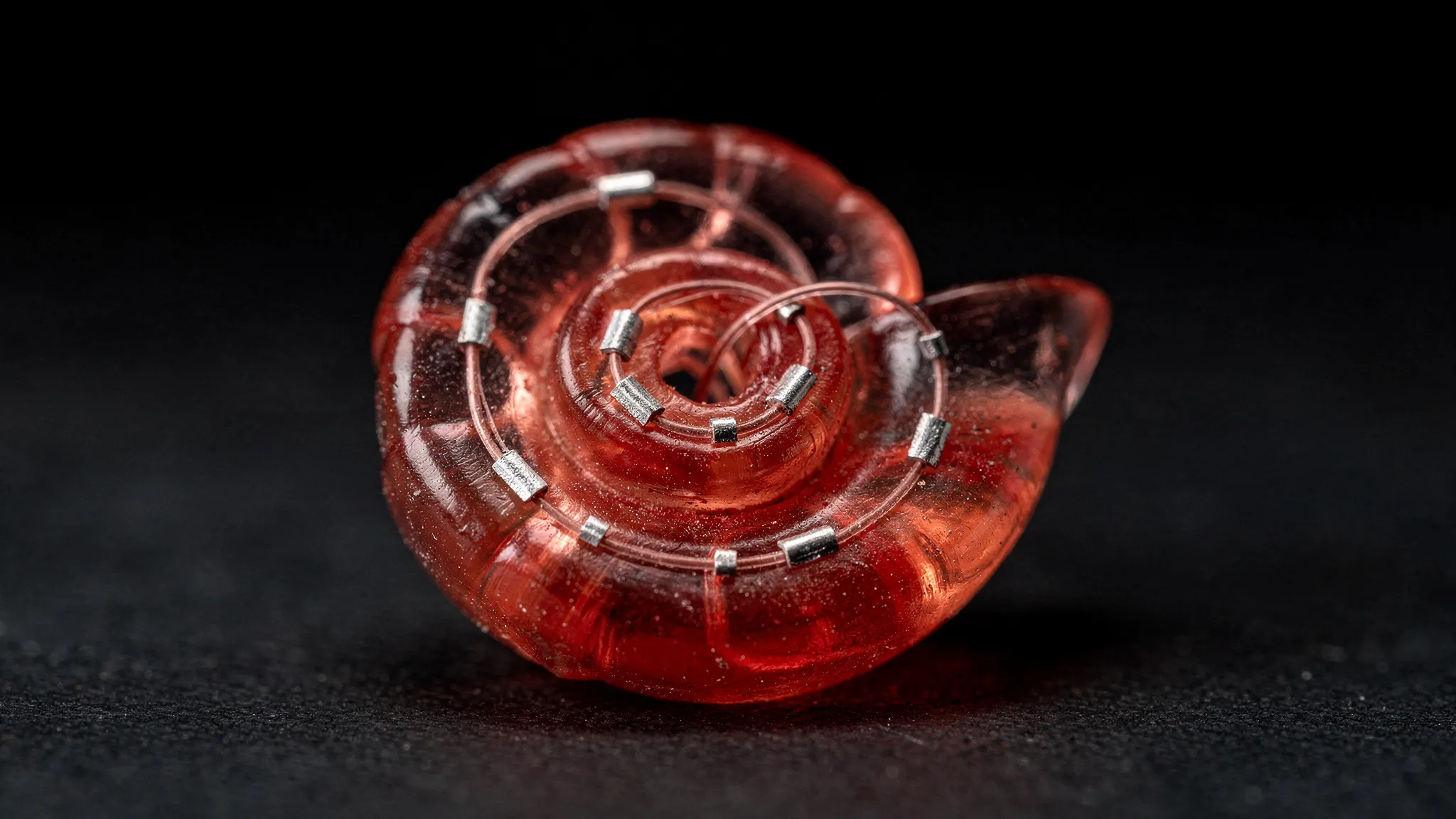 A thin electrode array curled inside a translucent model of the spiral cochlea, lit in dark brick red.