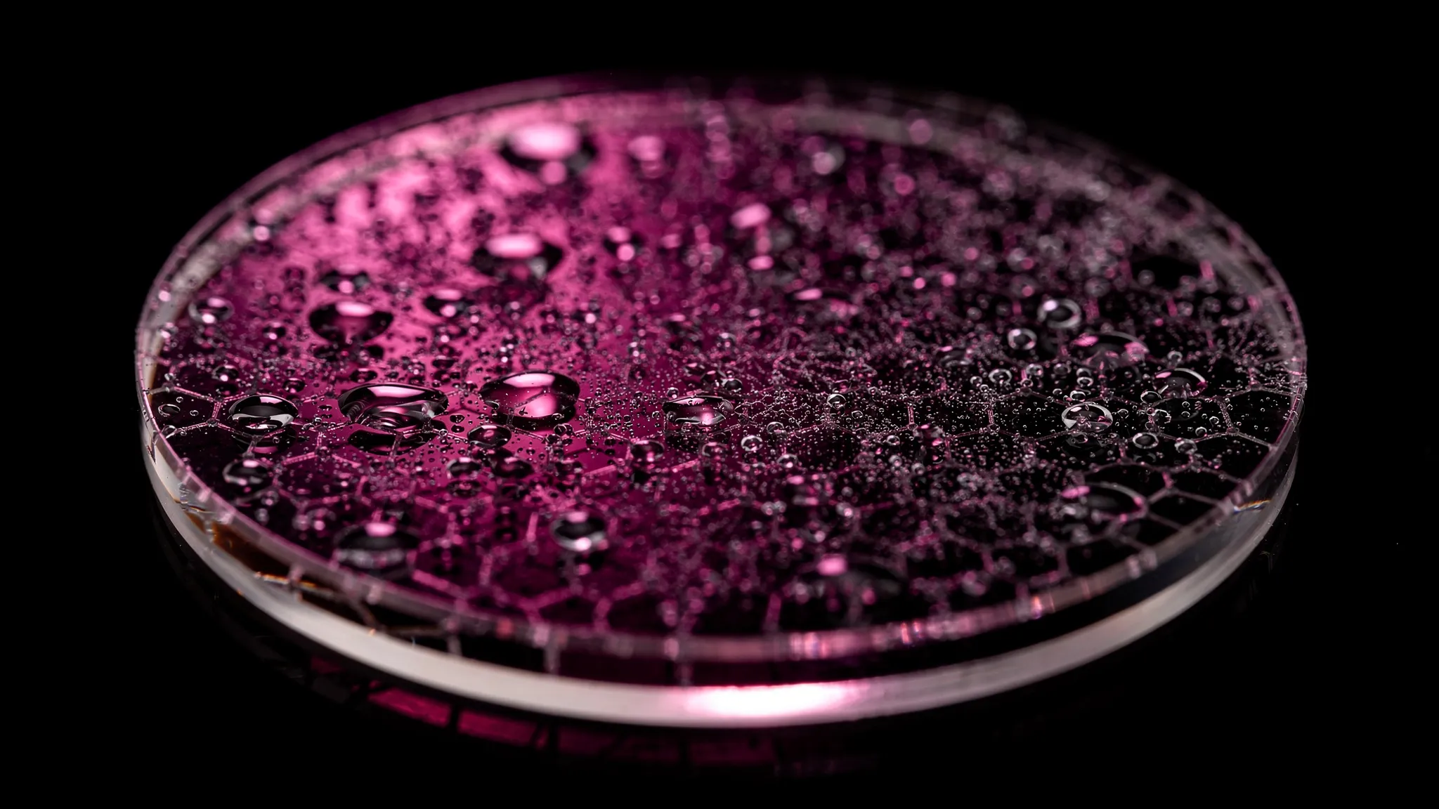 Eine runde, durchsichtige Schale voller Wassertropfen über einem schwachen Sechseckmuster, in Magenta beleuchtet.