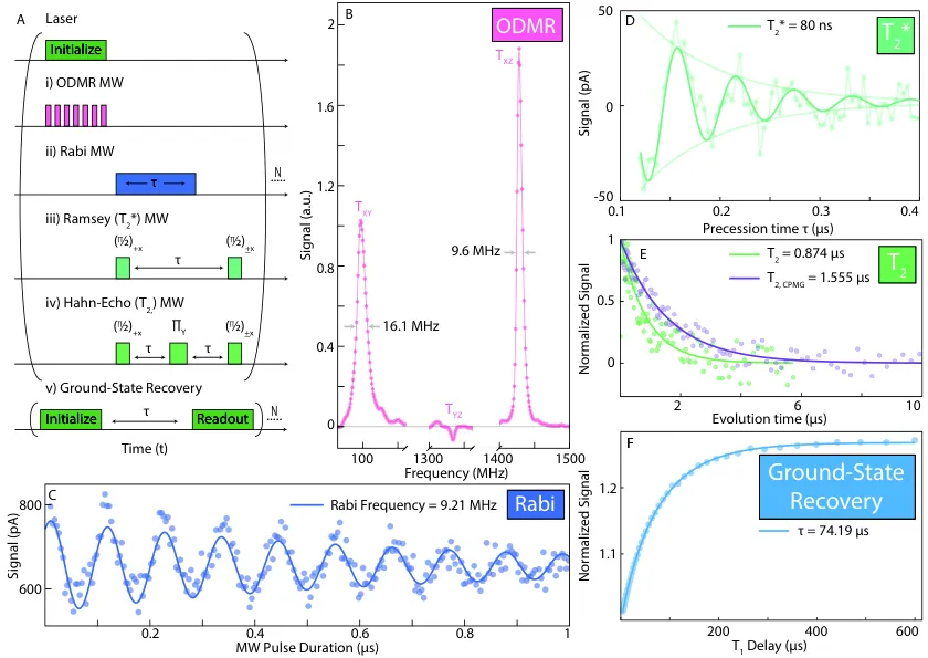Panels of pulse sequences and measurement curves.