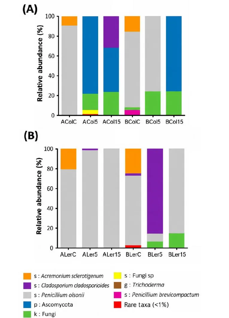 Stacked bar charts of fungal groups in seedlings from untreated and treated seeds.