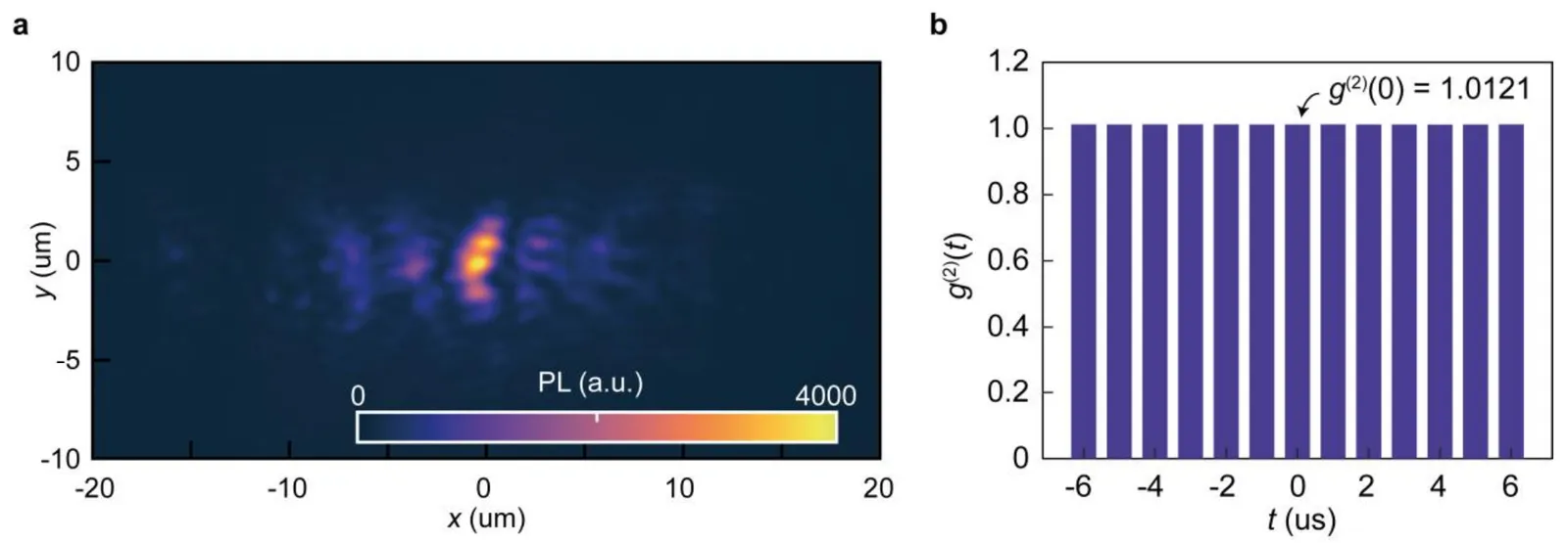 Real-space image of the glowing stripes and a bar chart of photon correlations near 1.