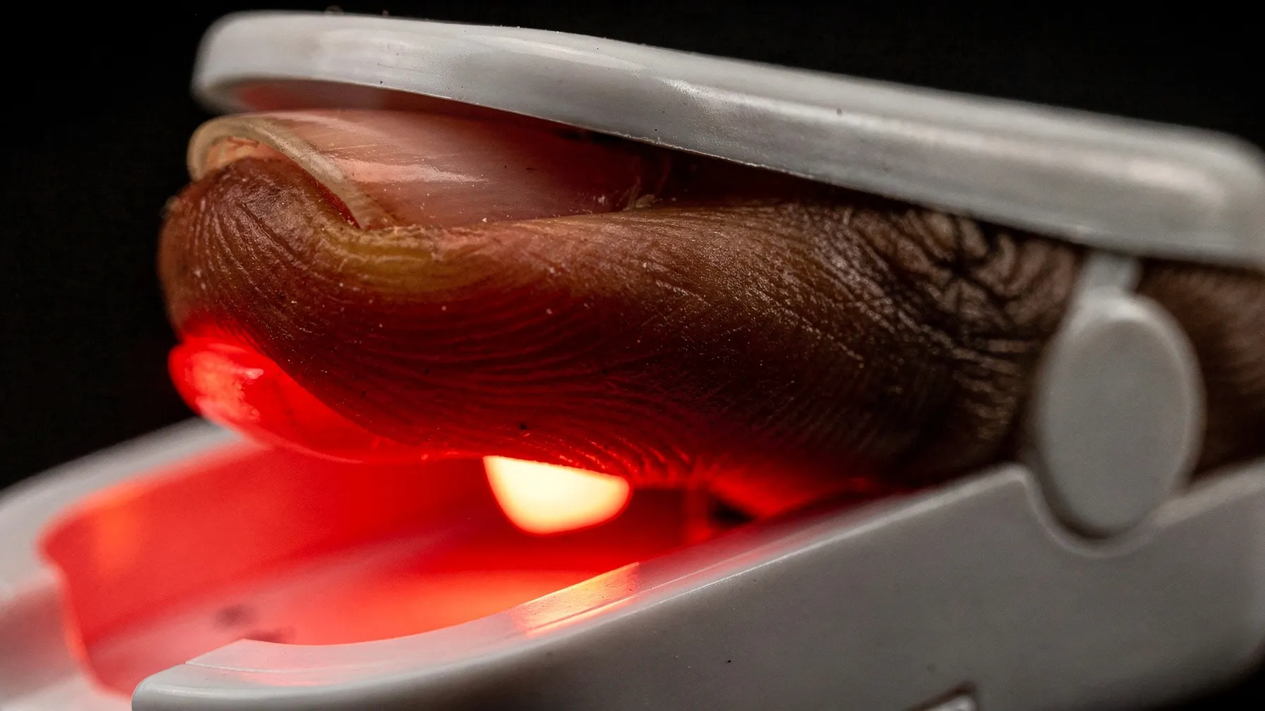 Macro photograph of a fingertip with dark brown skin in a white pulse oximeter clip, red light glowing through the finger.