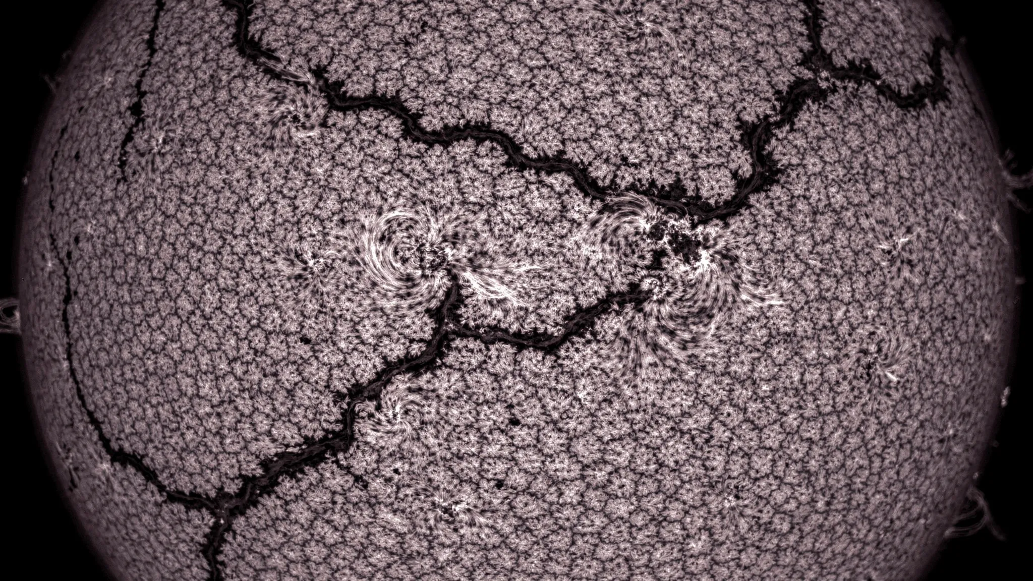 Monochrome image of the Sun's disc covered in granulation, crossed by dark filament-like lines.