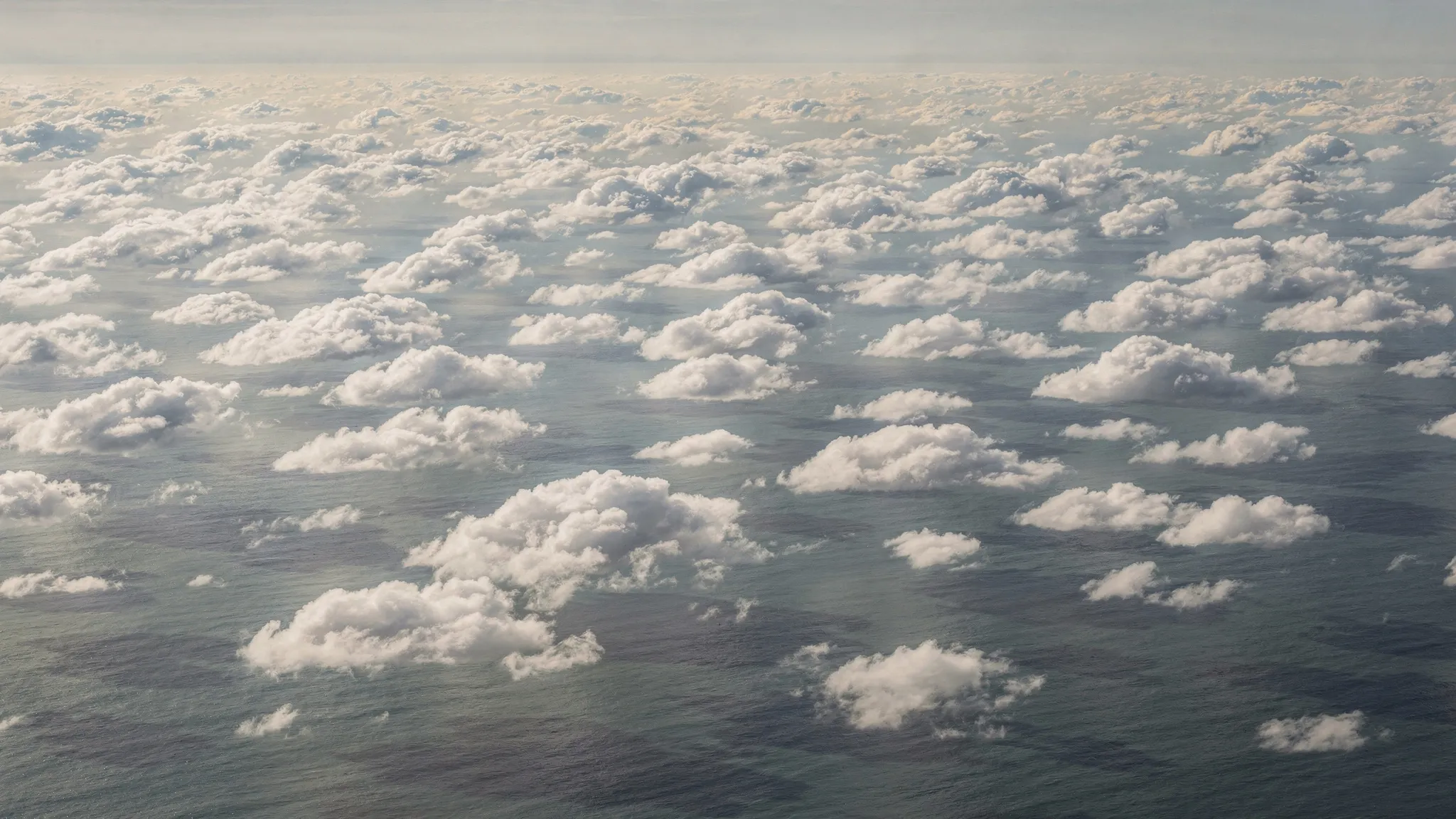 A field of white cumulus clouds over a calm sea, seen from low altitude, with a faint dark olive green tint in the afternoon light.
